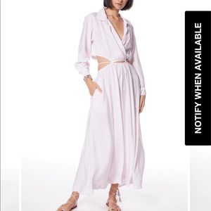 Young Fabulous & Broke Dress